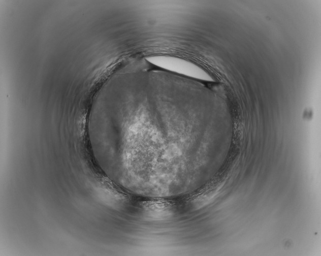 X0000090770652200708101811