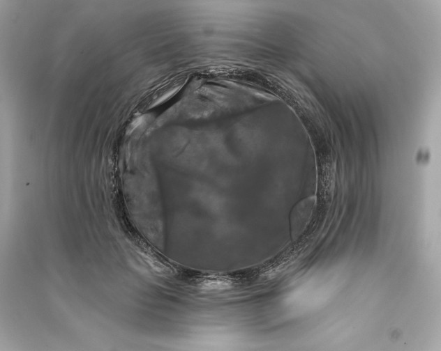 X0000090770653200708101811