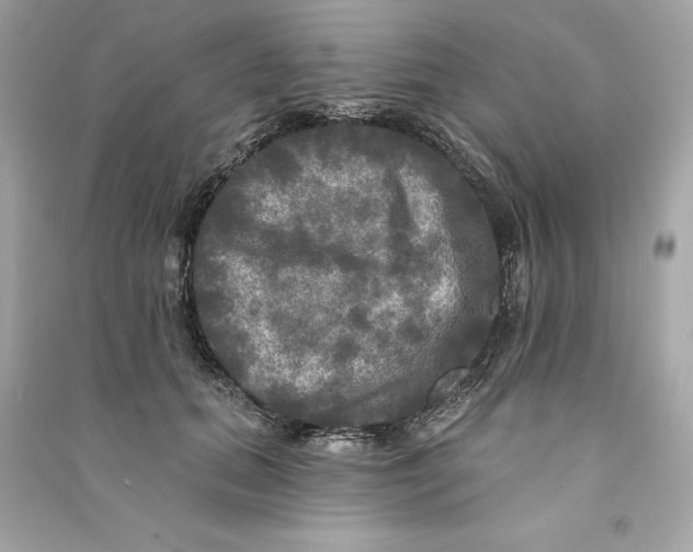 X0000090770655200708101811