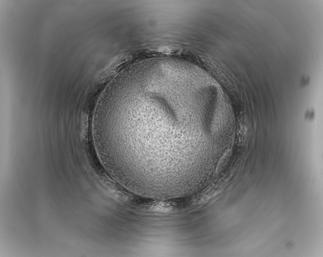 X0000090770656200708101811