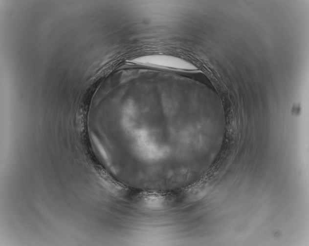 X0000090770658200708101811