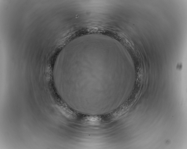 X0000090770659200708101811