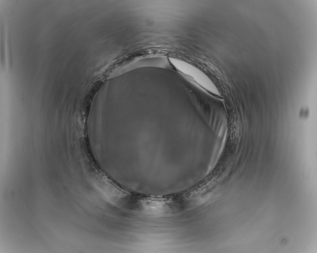 X0000090770661200708101811