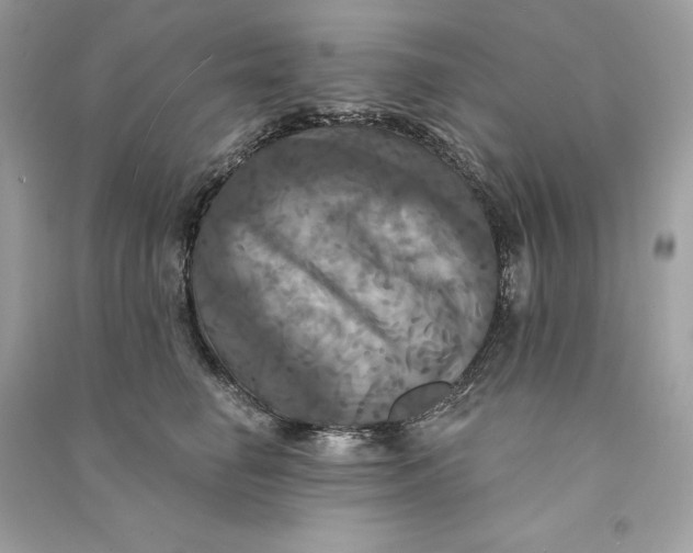 X0000090770662200708101811