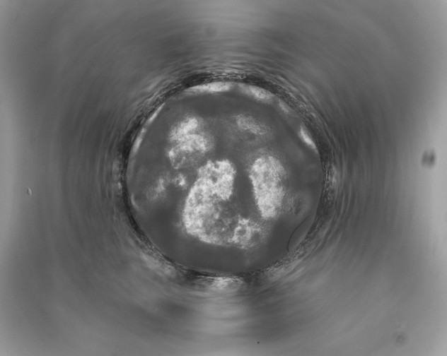 X0000090770663200708101811