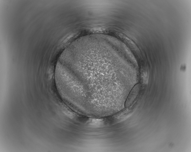 X0000090770665200708101811