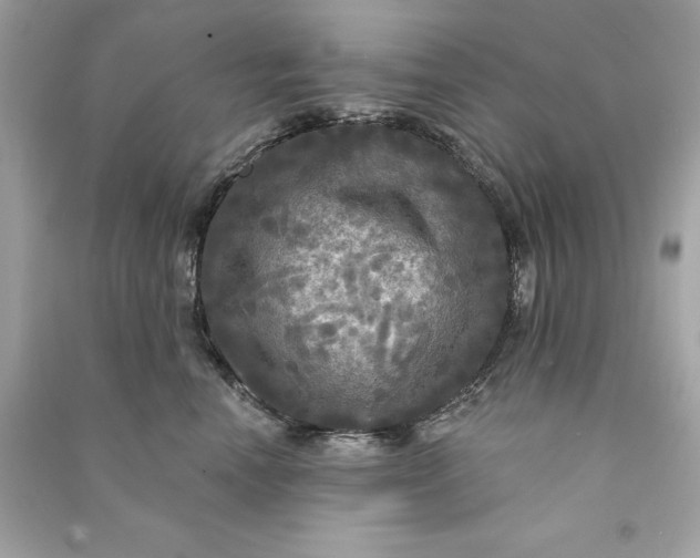 X0000090770666200708101811