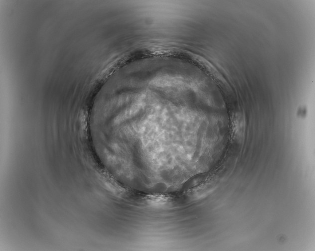 X0000090770667200708101811