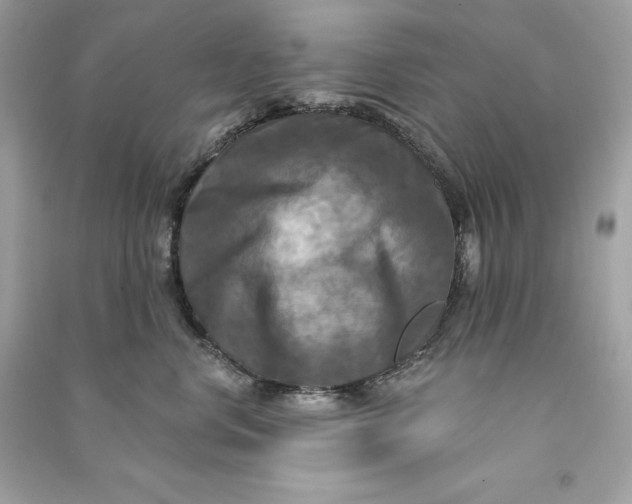 X0000090770668200708101811