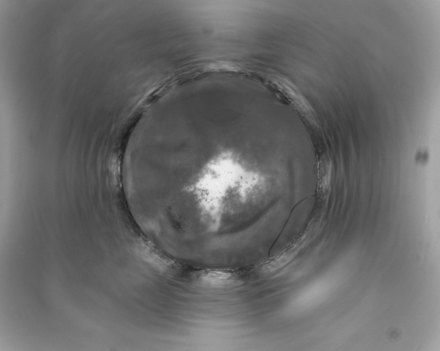 X0000090770669200708101811