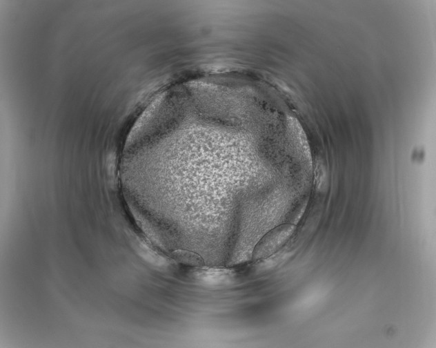 X0000090770670200708101811