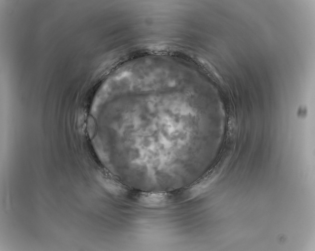 X0000090770671200708101811