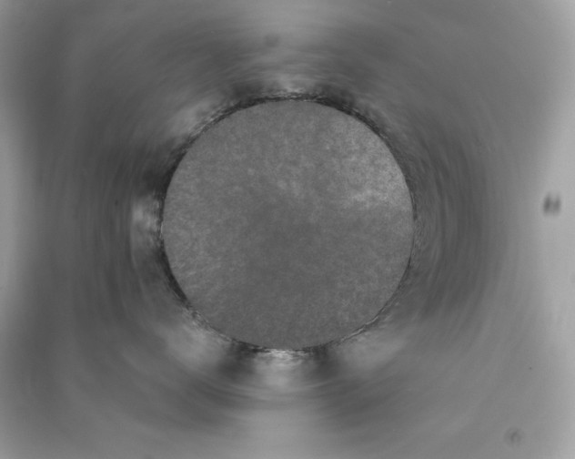 X0000090770672200708101811