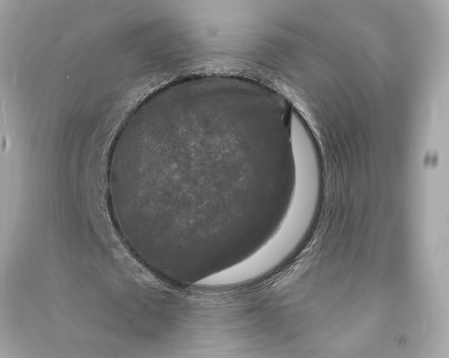X0000090770673200708101811