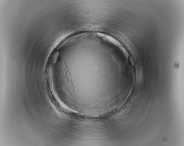 X0000090770674200708101811