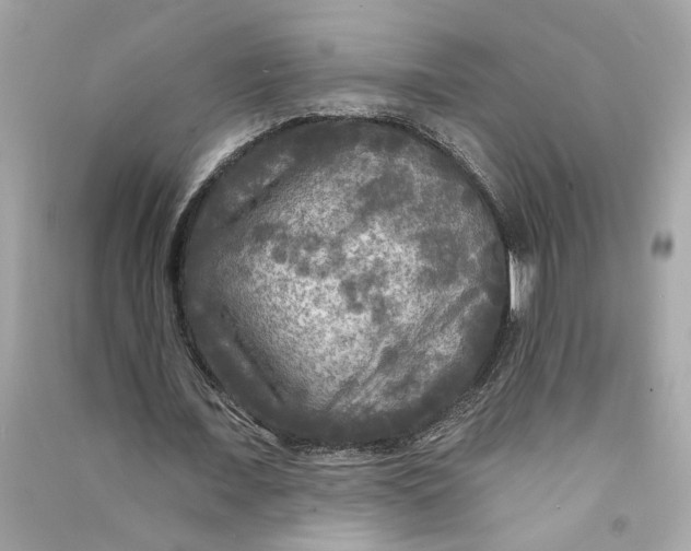 X0000090770675200708101811