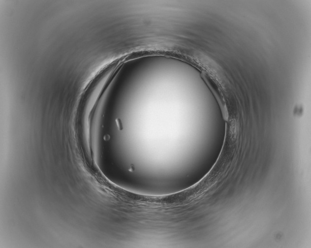 X0000090770676200708101811