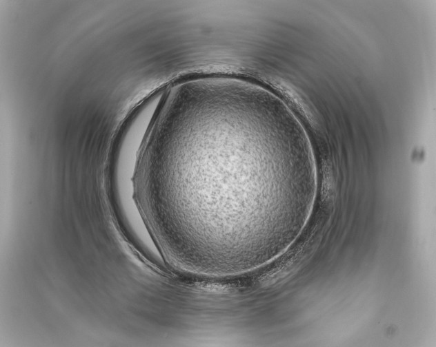 X0000090770677200708101811