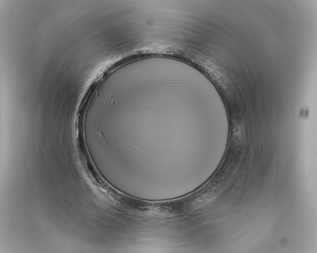X0000090770678200708101810