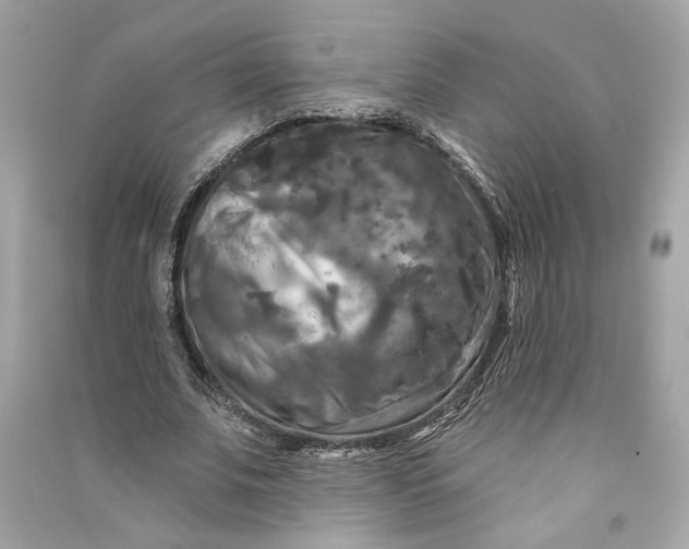 X0000090770679200708101810