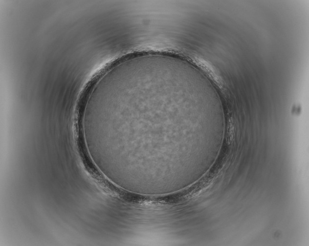 X0000090770680200708101810