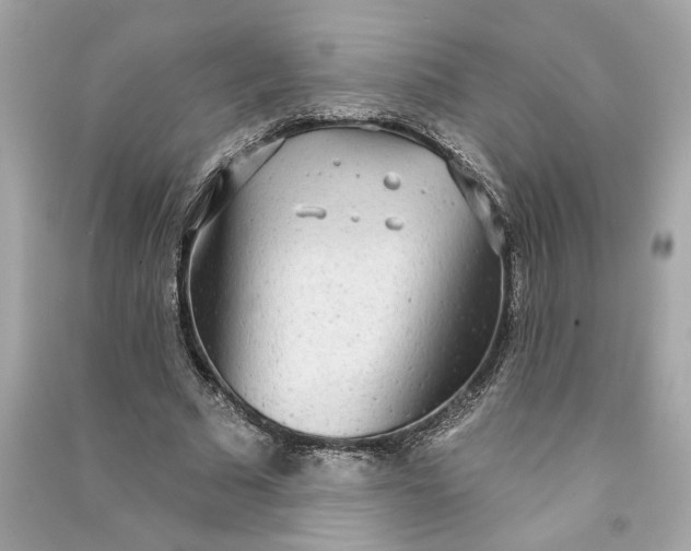 X0000090770681200708101810