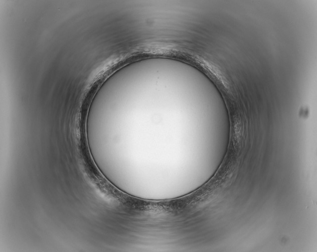 X0000090770682200708101810
