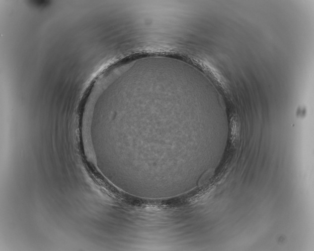 X0000090770684200708101810