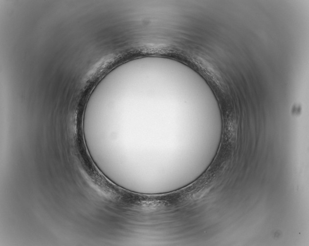 X0000090770686200708101810