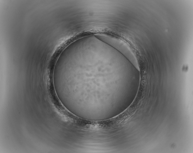 X0000090770688200708101810