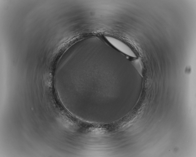 X0000090770689200708101810
