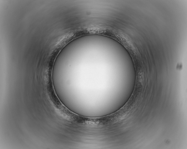X0000090770690200708101810