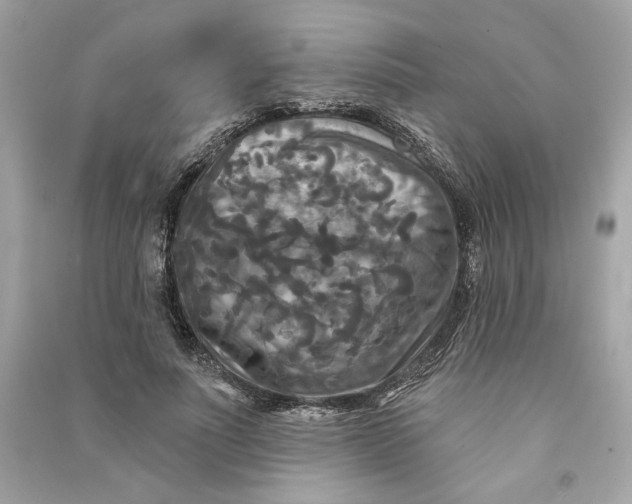 X0000090770691200708101810