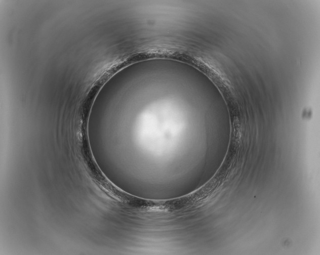 X0000090770692200708101810