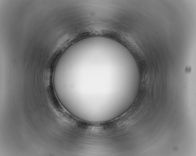 X0000090770694200708101810