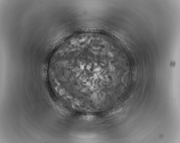 X0000090770695200708101810