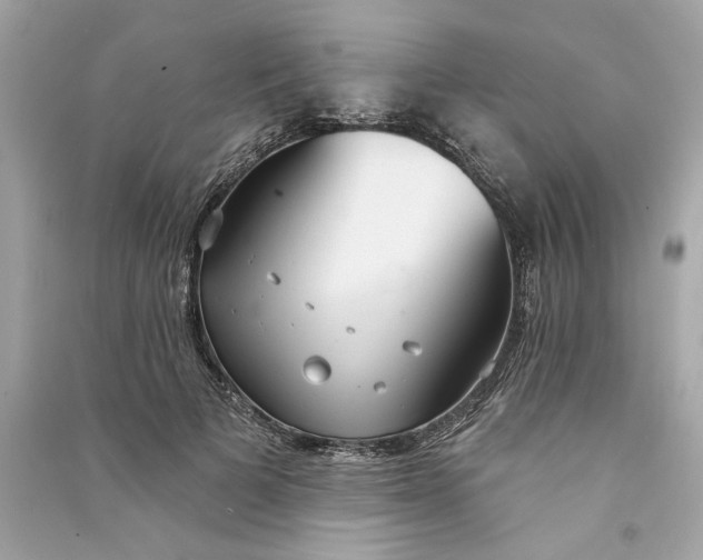 X0000090770697200708101810