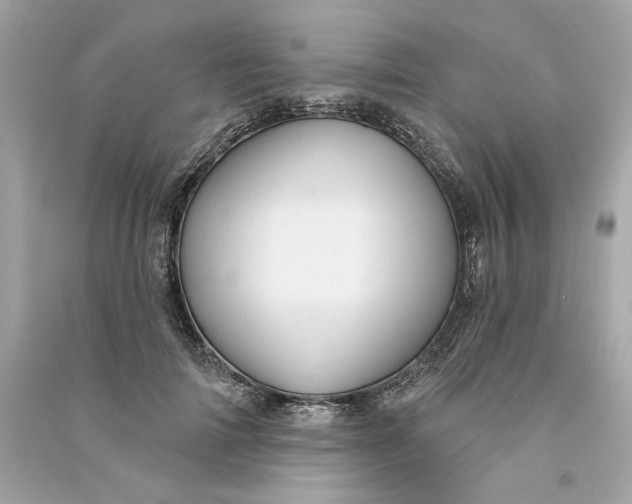 X0000090770698200708101810