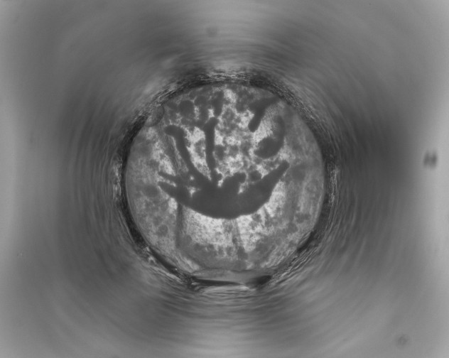 X0000090770699200708101810