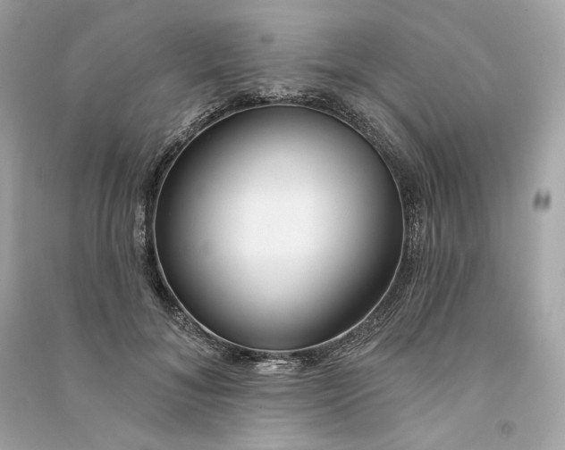 X0000090770700200708101810