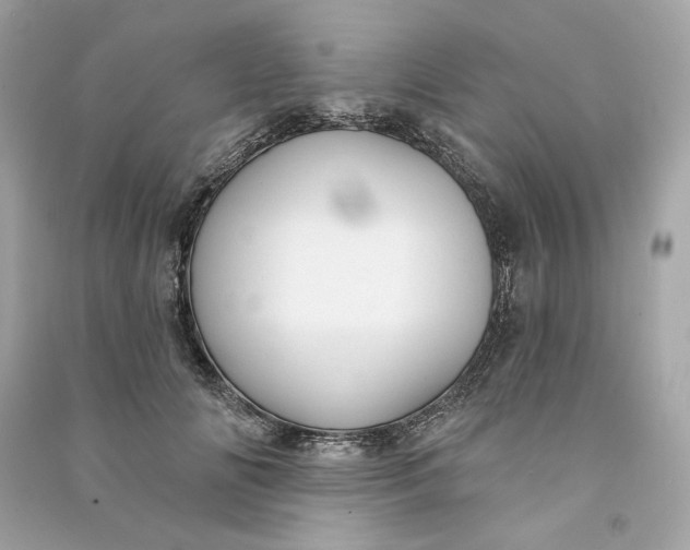 X0000090770702200708101810