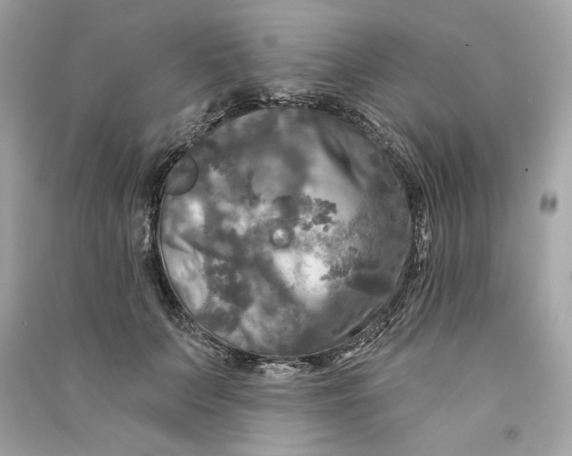 X0000090770703200708101810