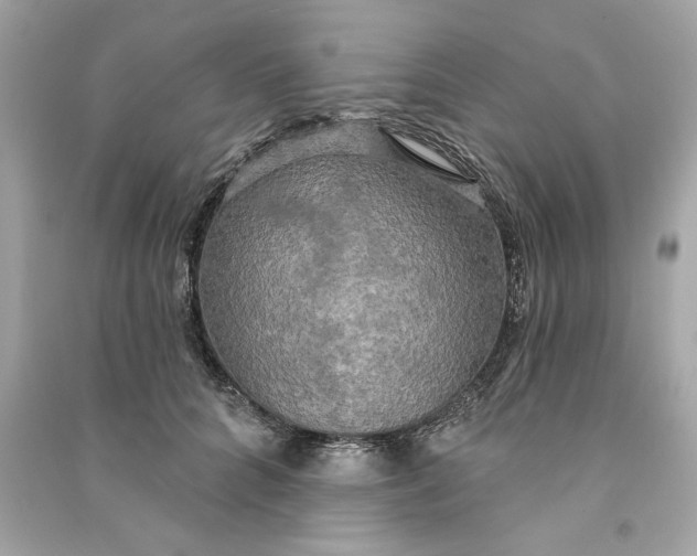 X0000090770704200708101810