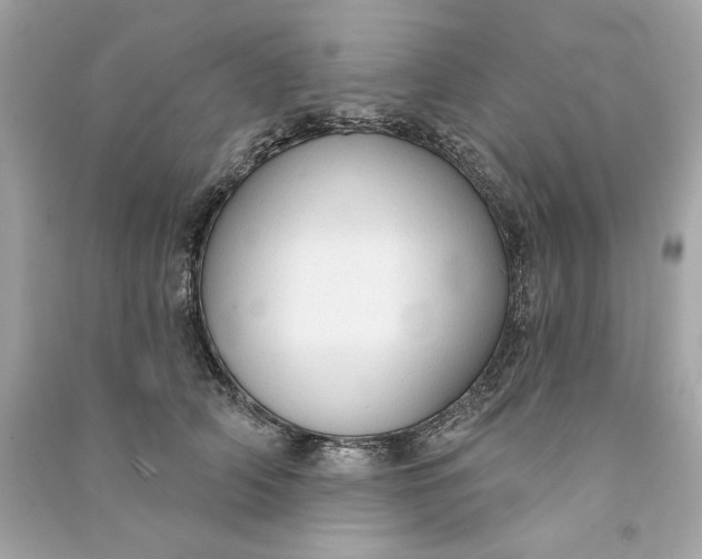 X0000090770706200708101810