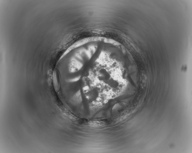 X0000090770707200708101810