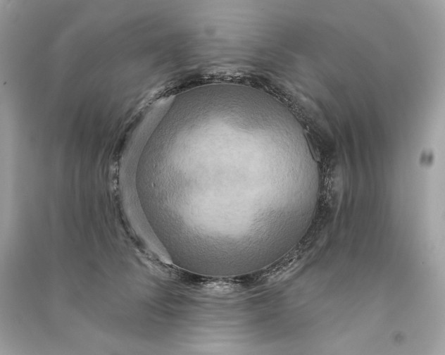 X0000090770708200708101810