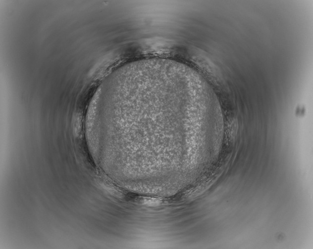 X0000090770709200708101810