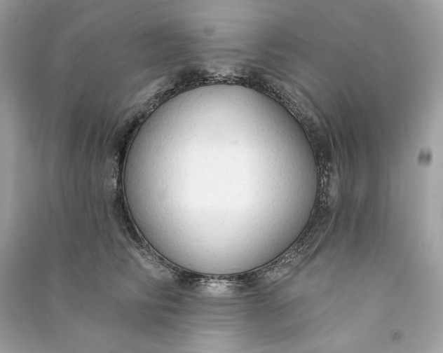 X0000090770710200708101810