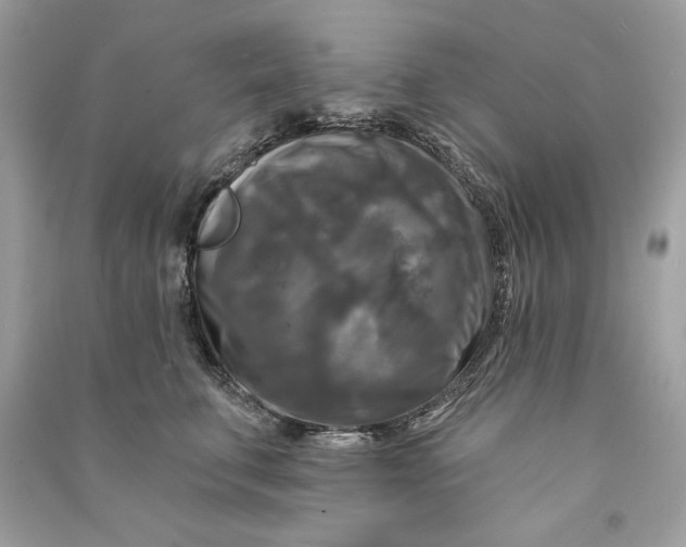 X0000090770711200708101810