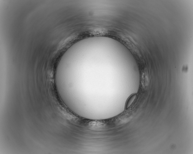 X0000090770714200708101810